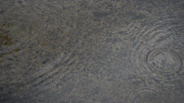 Raindrops make waves like the ocean tide.