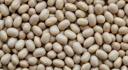 A large quantity of dry, uncooked white beans, perfect for soups, stews, or healthy culinary preparation, filling the frame tightly ,heap ,healthy ,cooking