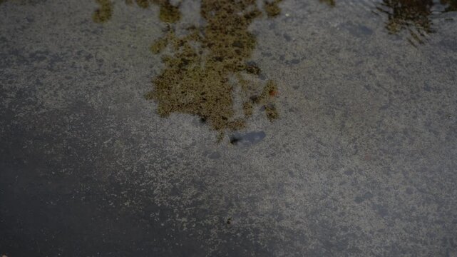 Raindrops make waves like the ocean tide.