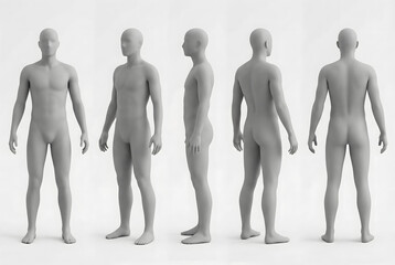 neutral grey human model rotation views for anatomy reference