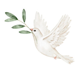 White dove with branch in beak, flying, watercolor illustration, wings spread, peace symbol, perfect for greeting card, wedding invitation, memorial design, spiritual event or peace campaign.