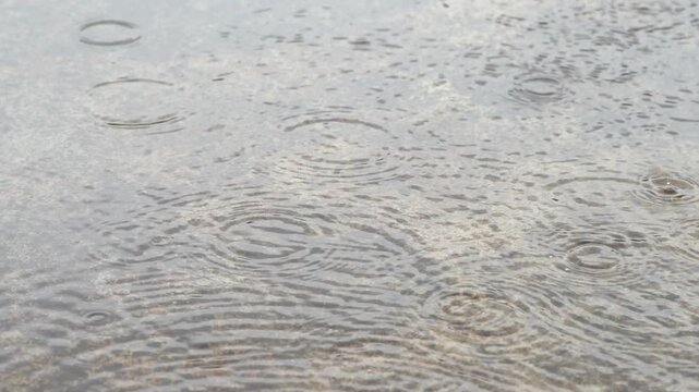 Raindrops make waves like the ocean tide.