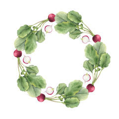 Red radish round frame with whole and slices roots, greenery. Isolated hand drawn watercolor botanical wreath of garden vegetables for healthy food, packaging design, menu, recipes, kitchen textile