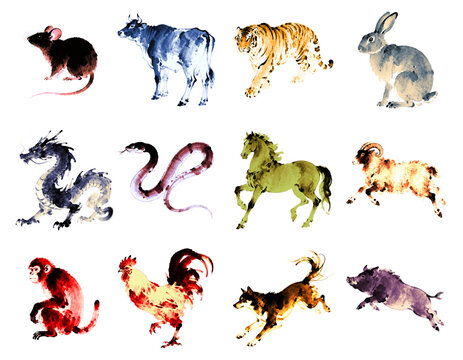 Sumi-e style zodiac traditional Japanese watercolor set - transparent background PNG