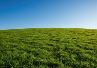 Gentle grassy slope ascending toward a distant ridge under a bright blue sky. Natural texture and vibrant green growth define the terrain ,descent ,geography ,bright