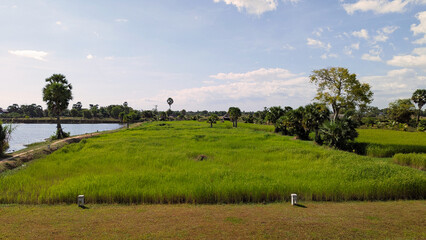 The sky is a clear light blue with scattered, wispy white cumulus clouds, suggesting a sunny day...