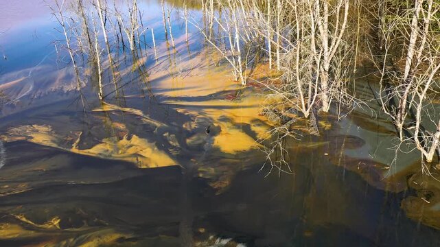 Surreal aerial view of duck trapped in colorful chemical mining leach residuals