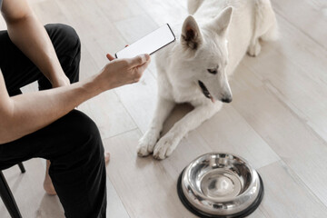 Hand with white screen phone near a hungry dog with an empty bowl. The concept of online ordering...