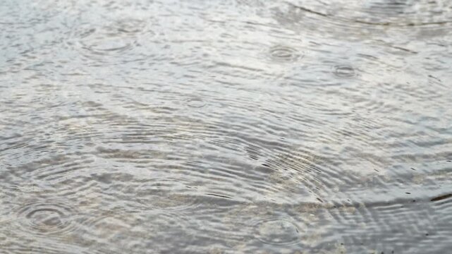 Raindrops make waves like the ocean tide.