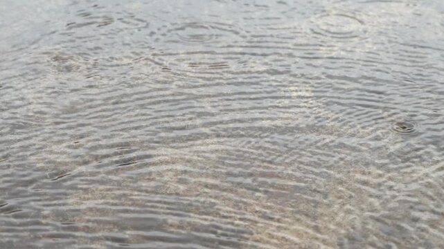 Raindrops make waves like the ocean tide.
