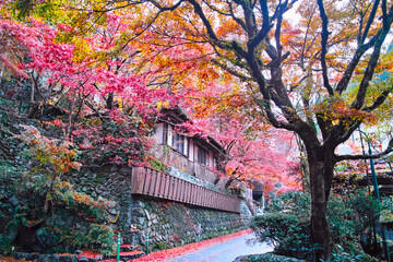 京都市左京区、貴船神社への街道沿いの旅館街の街並み
