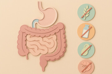 Pastel digestive tract illustration showing paper cut digestive system. Food intolerance education visual with allergy symbols for gut health awareness and information