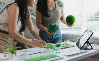 Colleagues developing sustainable business ecological strategies