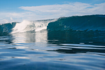 Fototapeta premium Ocean blue wave. Crashing surfing waves
