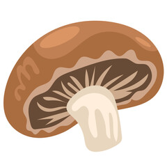 Shiitake Mushroom