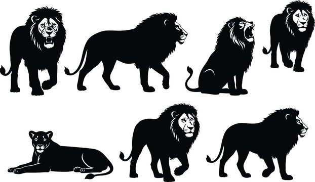 Lion lioness silhouette illustration vector in different poses