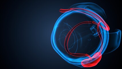 Eye choroid anatomy. 3d illustrations