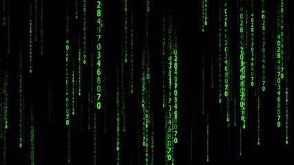 green binary code with animation 