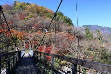 岩屋川渓谷　秋の秋葉橋を渡る　（高知県　仁淀川町別枝）