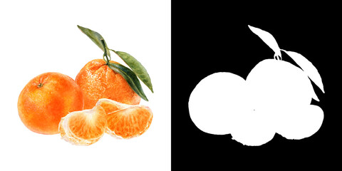 Fresh Watercolor Illustration of Whole and Peeled Tangerines with Green Leaves