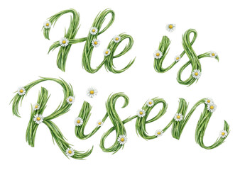 He is Risen &ndash; Watercolor Grass and Daisy Calligraphy.