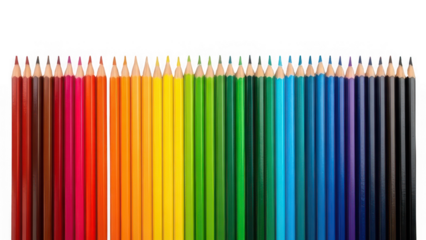 Vibrant colored pencils arranged in a rainbow spectrum