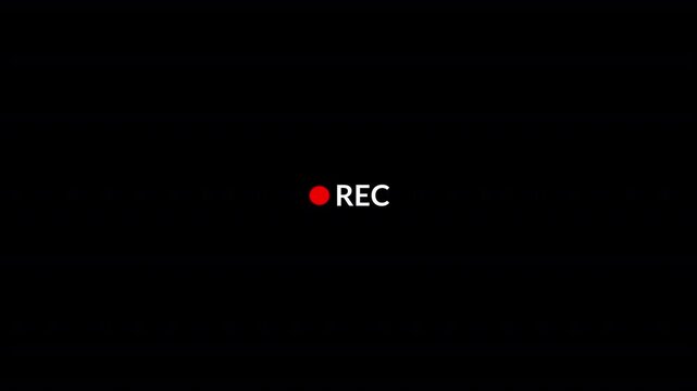 Recording button animation, camera recording sign on a transparent background,  framed recording sign, video camera viewfinder overlay sign, recording video button, broadcasting, voice recorder in 4k.