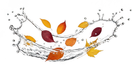 Autumn leaves falling through a water splash