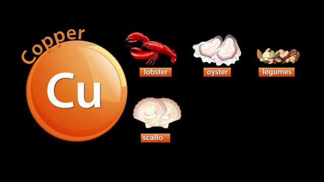 Copper Mineral Icon with Animated High-Copper Food Sources