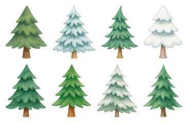 Fototapeta premium PNG Watercolor evergreen trees winter illustration, element set on transparent background