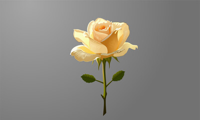a design of rose juliet flower