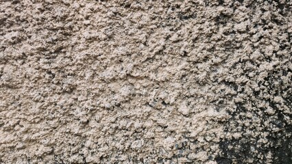 Rough beige stucco wall texture close-up. Detailed with visible sand grains and plaster, with black dirt stains. Suitable for natural, raw, or rustic backgrounds.