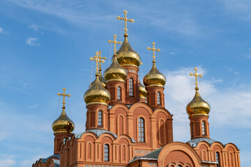 Domes of the Cathedral of the Assumption of the Blessed Virgin Mary in the Achairsky monastery of the Holy Cross on a sunny August day. Omsk region, Russia