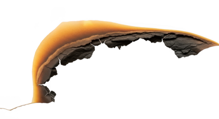 Burning paper edge with flames isolated on transparent background