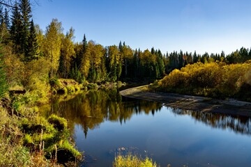 Bright autumn forest and river bend with reflections