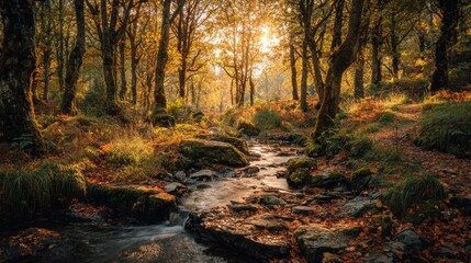 an atmospheric autumn landscape, leaves falling from the trees, a small stream flowing over stones, golden autumn light shining through the treetops
