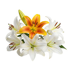 Fototapeta premium Floral arrangement showcasing elegant white and yellow lilies on transparent background