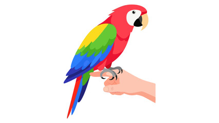 Obraz premium Colorful parrot perched on a human finger against a white background