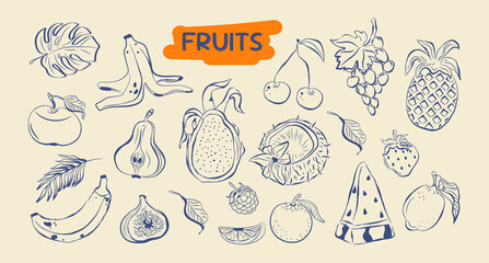 A set of tropical fruits hand-drawn in blue ink, doodles. Banana, pineapple, citrus, grape, papaya, fig, cherry, apple, pear, strawberry, coconut, watermelon. Outline vector illustration, no fill