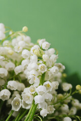 Closeup of blooming lily of the valley flowers and buds