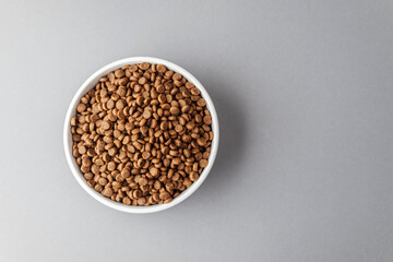 Closeup of dog food in white bowl on gray background