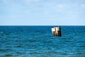 Dalbe mit Kormoranen in der Ostsee im Fischland Dar&szlig;.