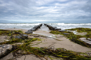 Buhnen am Strand von Ahrenshoop.