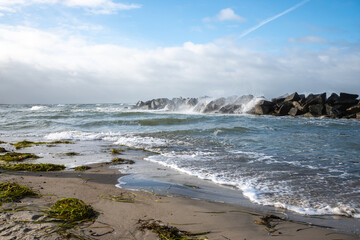 Wellenbrecher am Strand von Ahrenshoop.