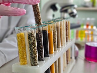 Test tubes with various grains for development of gmo products in biochemical laboratory. Genetic engineering and selection as science