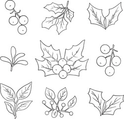 Hand drawn outline set of Christmas holly leaves and berries. Winter plant elements collection for holiday design, coloring books, greeting cards, and festive decorations. Isolated vector illustration