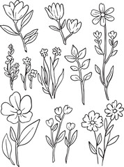 Ultimate hand drawn outline vector mega-set featuring a comprehensive collection of botanical elements: diverse leaves (oak, maple), various flowers, berries, acorns, mushrooms, and fruits.