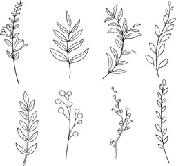 Large set of 14 hand-drawn black and white botanical elements, including various leaves, flower stems, and berry branches. Simple, elegant, and versatile for creating patterns, wedding stationery.