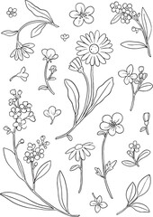 Detailed set of 18 hand-drawn outline wildflowers and garden flowers, including daisy, buttercup, and forget-me-not elements. Perfect for nature-themed packaging, scrapbooking, surface pattern design.