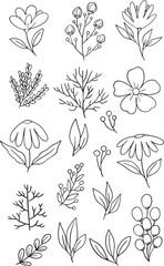 Cute and abstract set of 18 hand-drawn botanical elements, including stylized flowers, leaves, and berry branches. Perfect for nursery decor, children's products, unique branding, and modern surface.